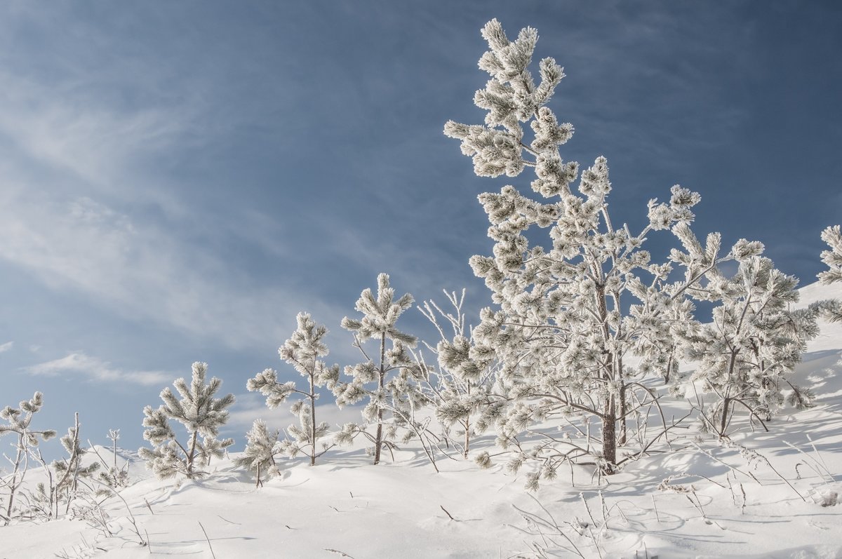 winter day - Dmitry Ozersky