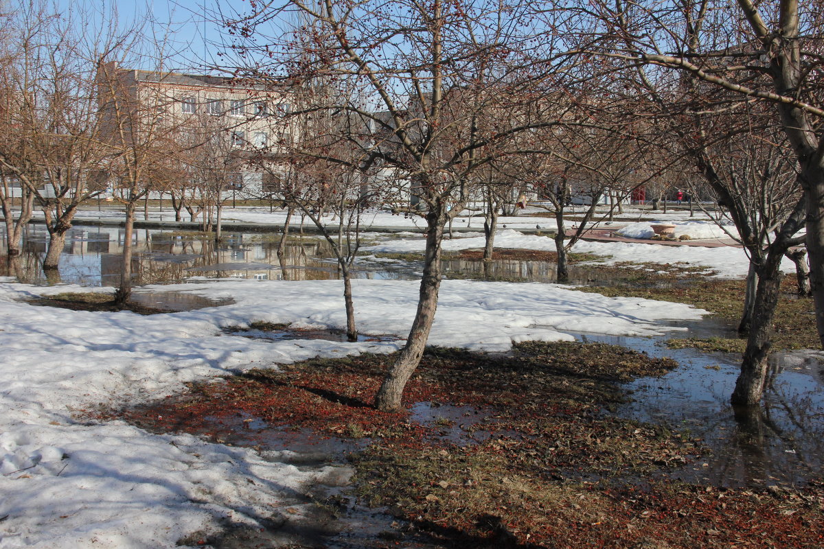 В городе весна - victor Lion