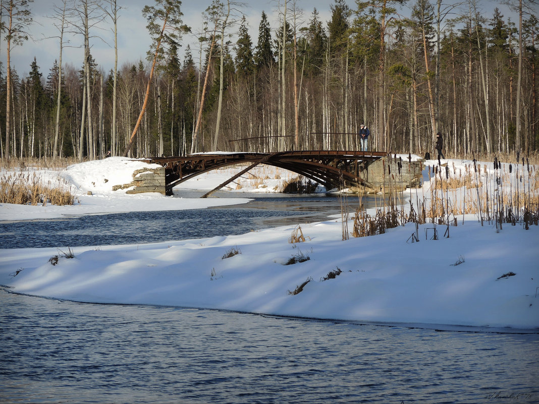 старинный мост в охотничьих угодьях - sv.kaschuk 