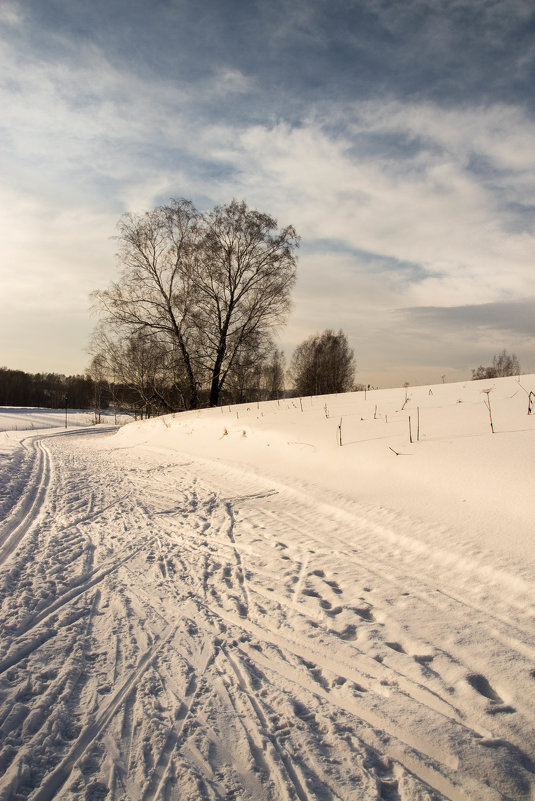 Зимняя прогулка - Евгения Каравашкина
