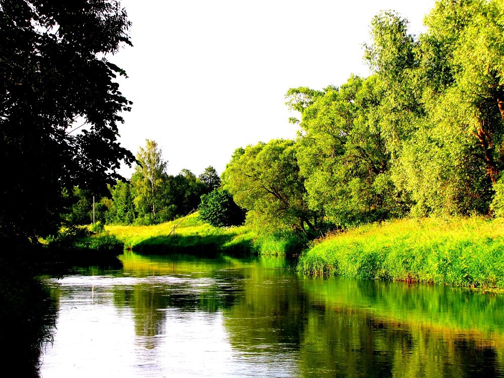 Река Дубна в среднем течении - alek48s 