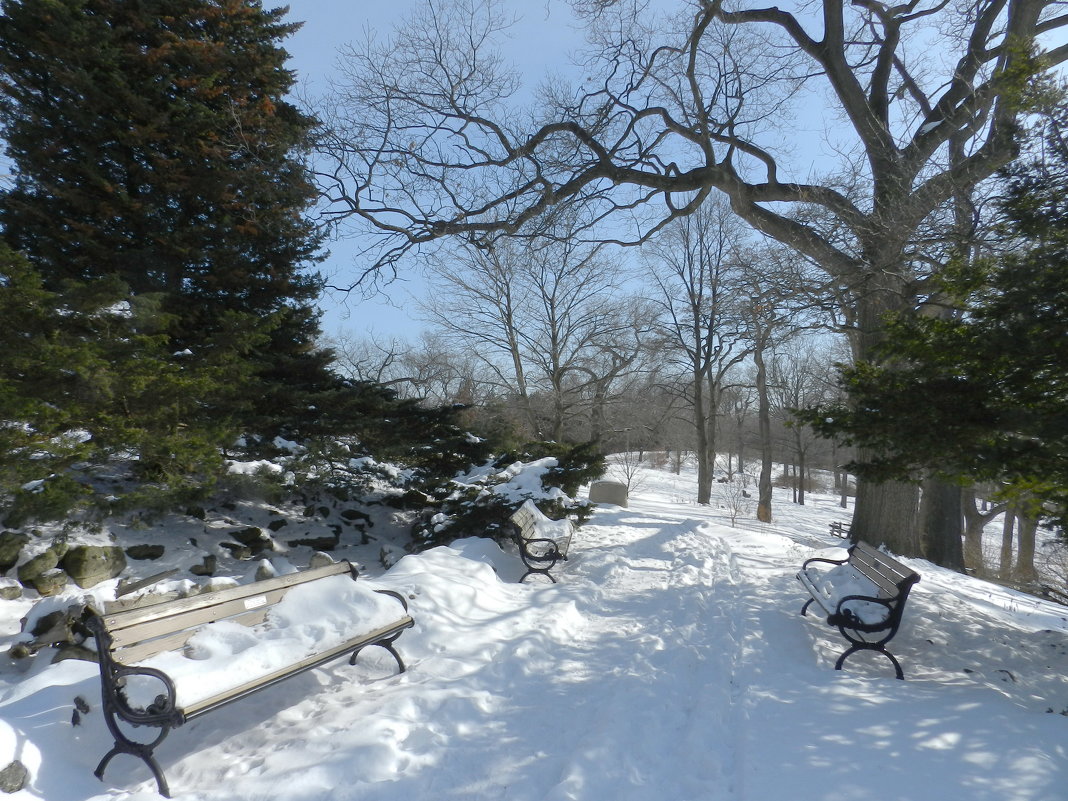 Прогуливаясь в парке Торонто... (High Park) - Юрий Поляков