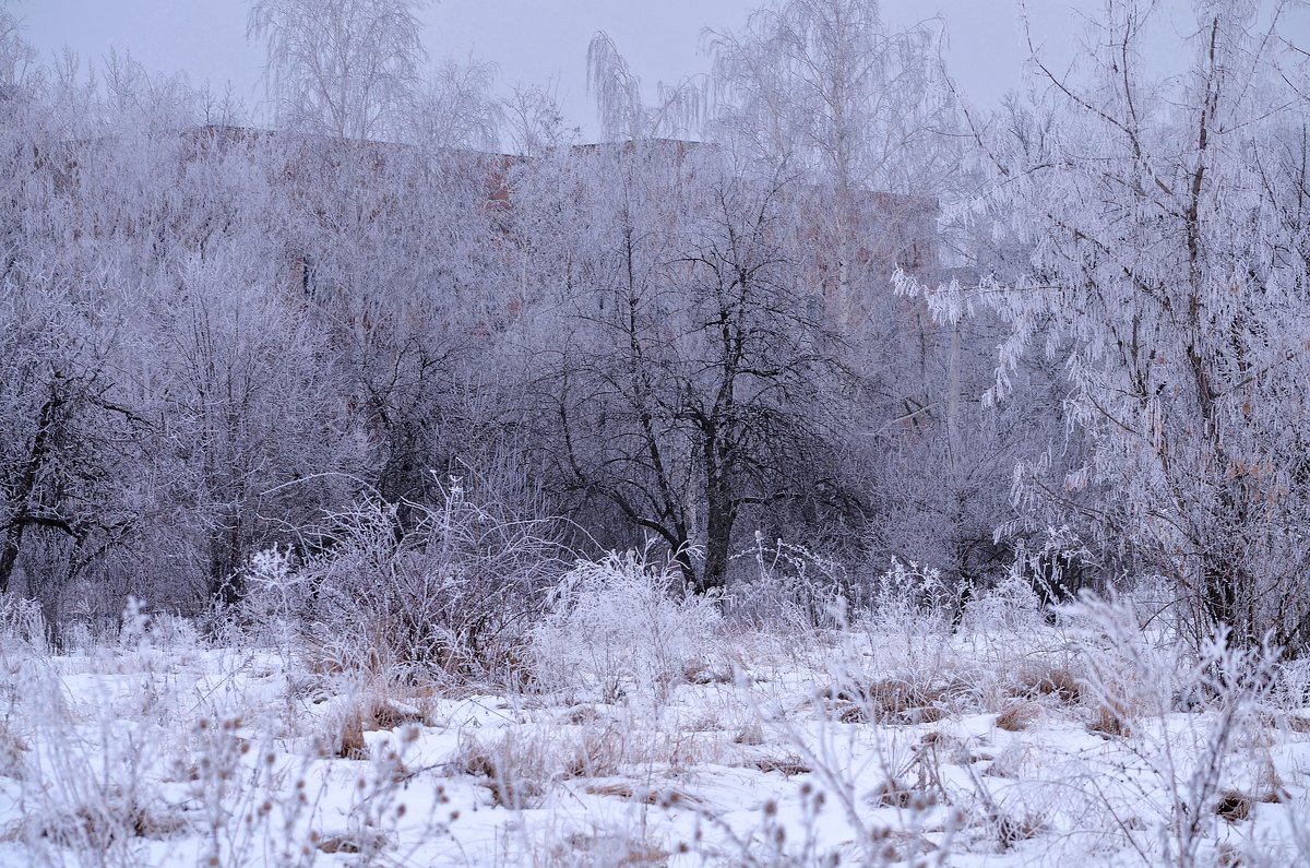 Зима - Tatiana Kretova