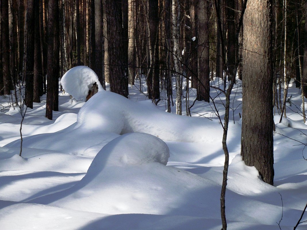 игра тени со снегом (снежный зверь) - petyxov петухов