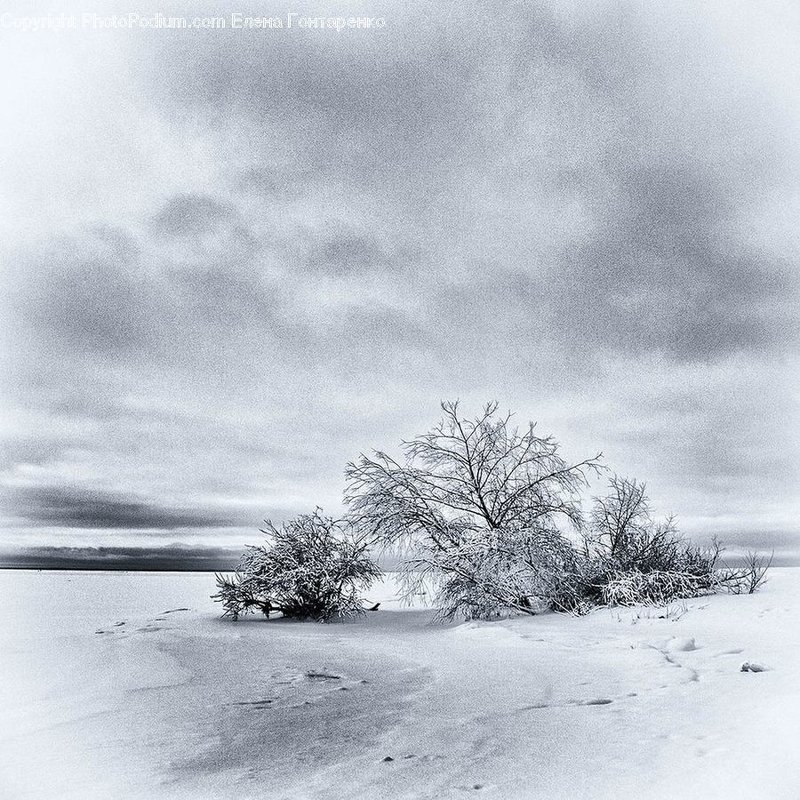 Зима в квадрате - Elena Gontarenko