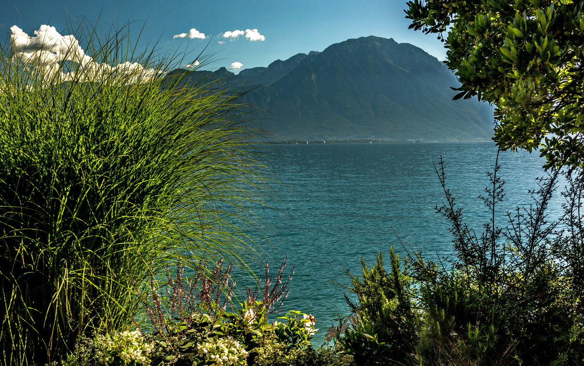 The Alps 2014 Switzerland Montreux 5 - Arturs Ancans
