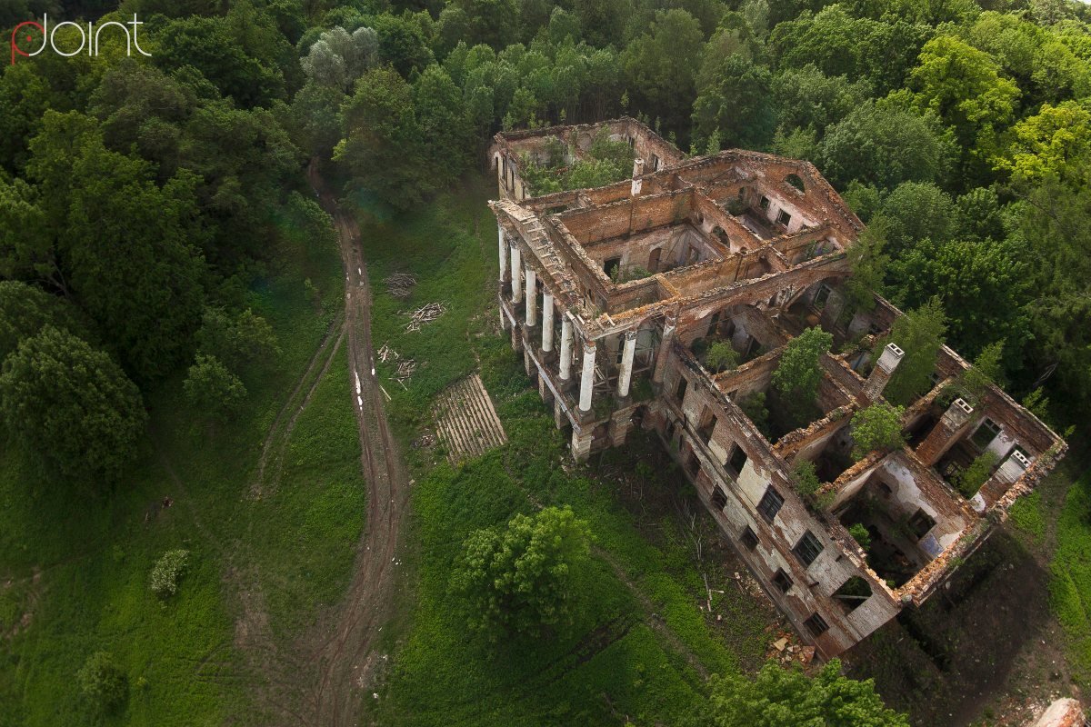 Руины Ропшинского дворца - Николай Т