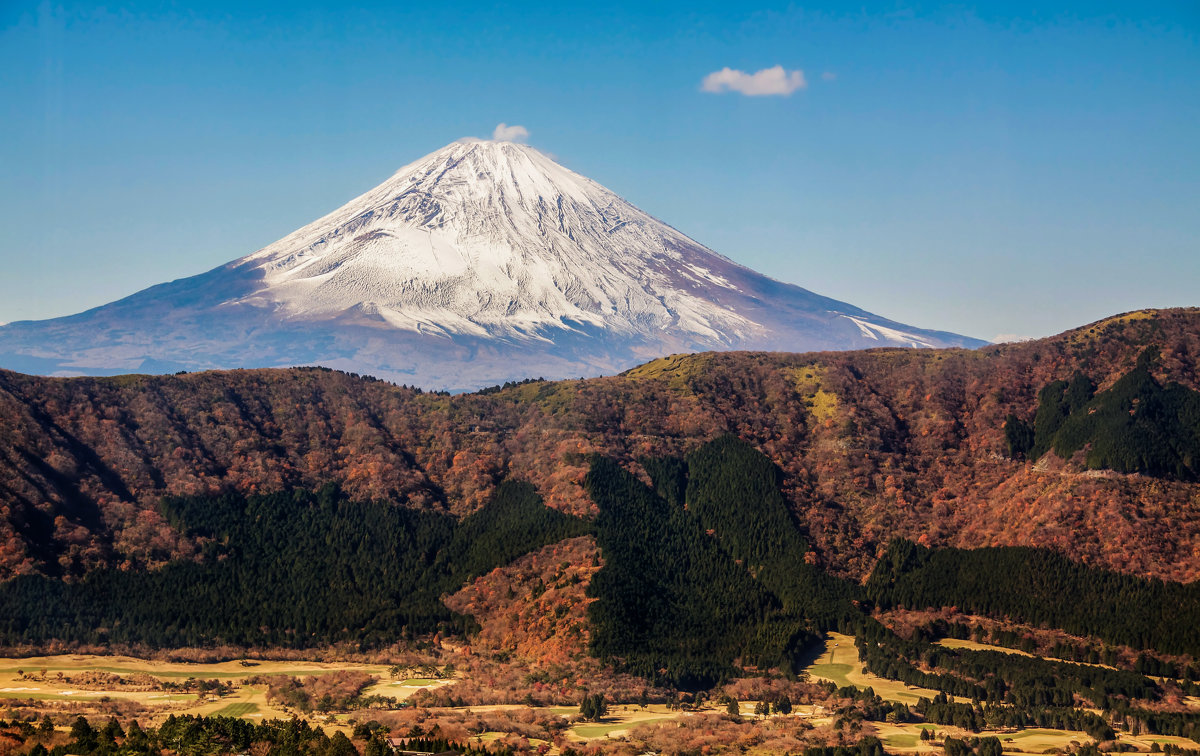 Fuji - Slava Hamamoto