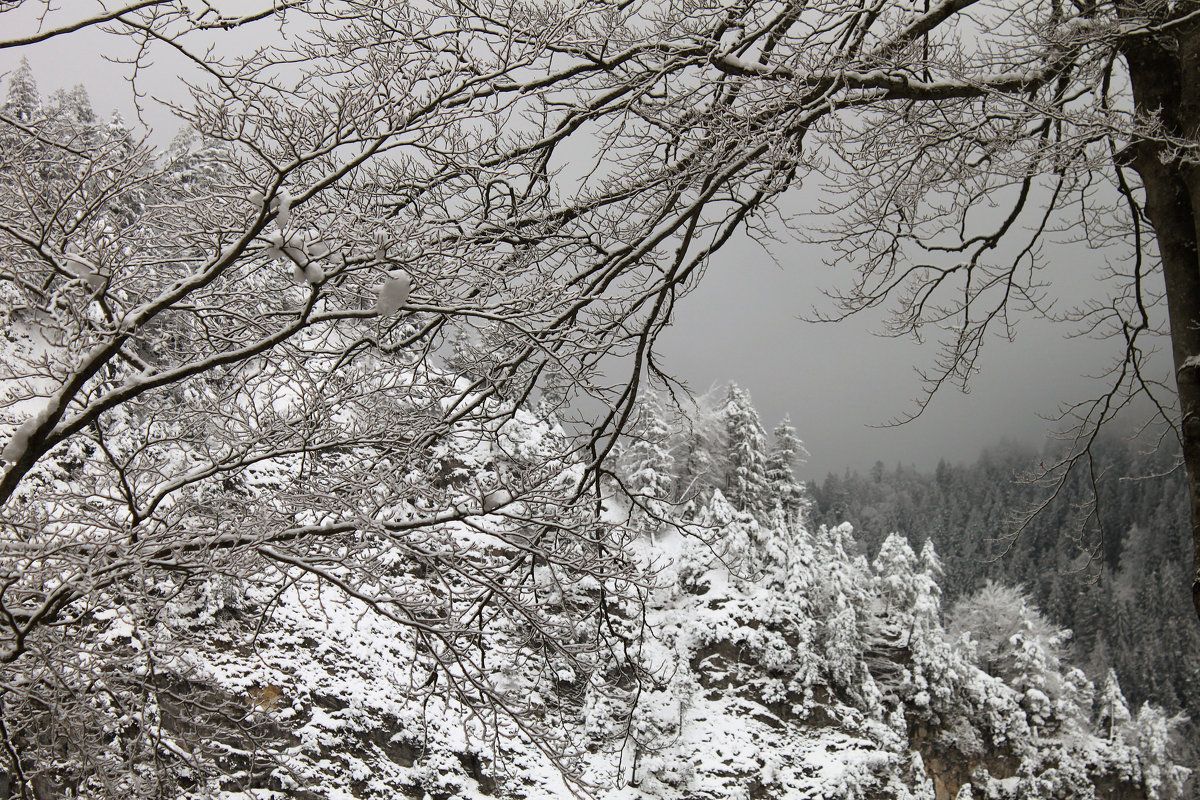 Зима в горах - Иля Григорьева