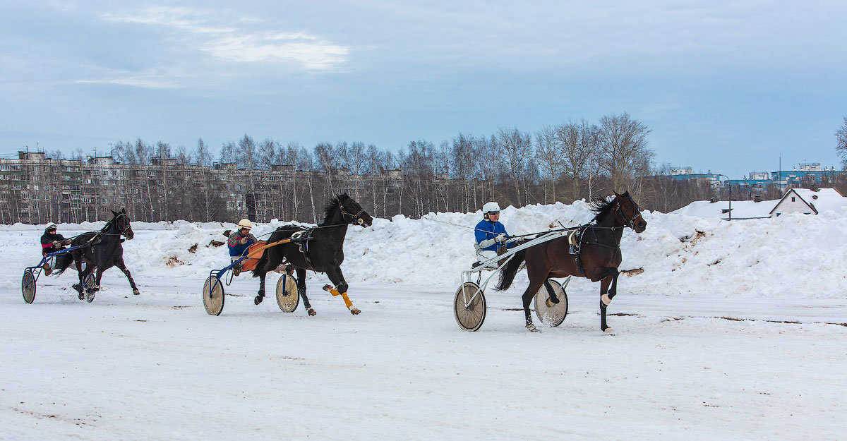 Масленица на Нижегородском ипподроме - Максим Баранцев