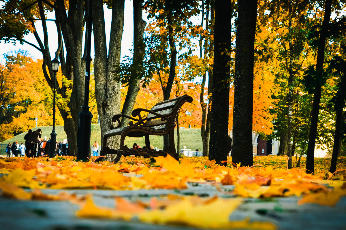 Осень в парке - Марина Шлык