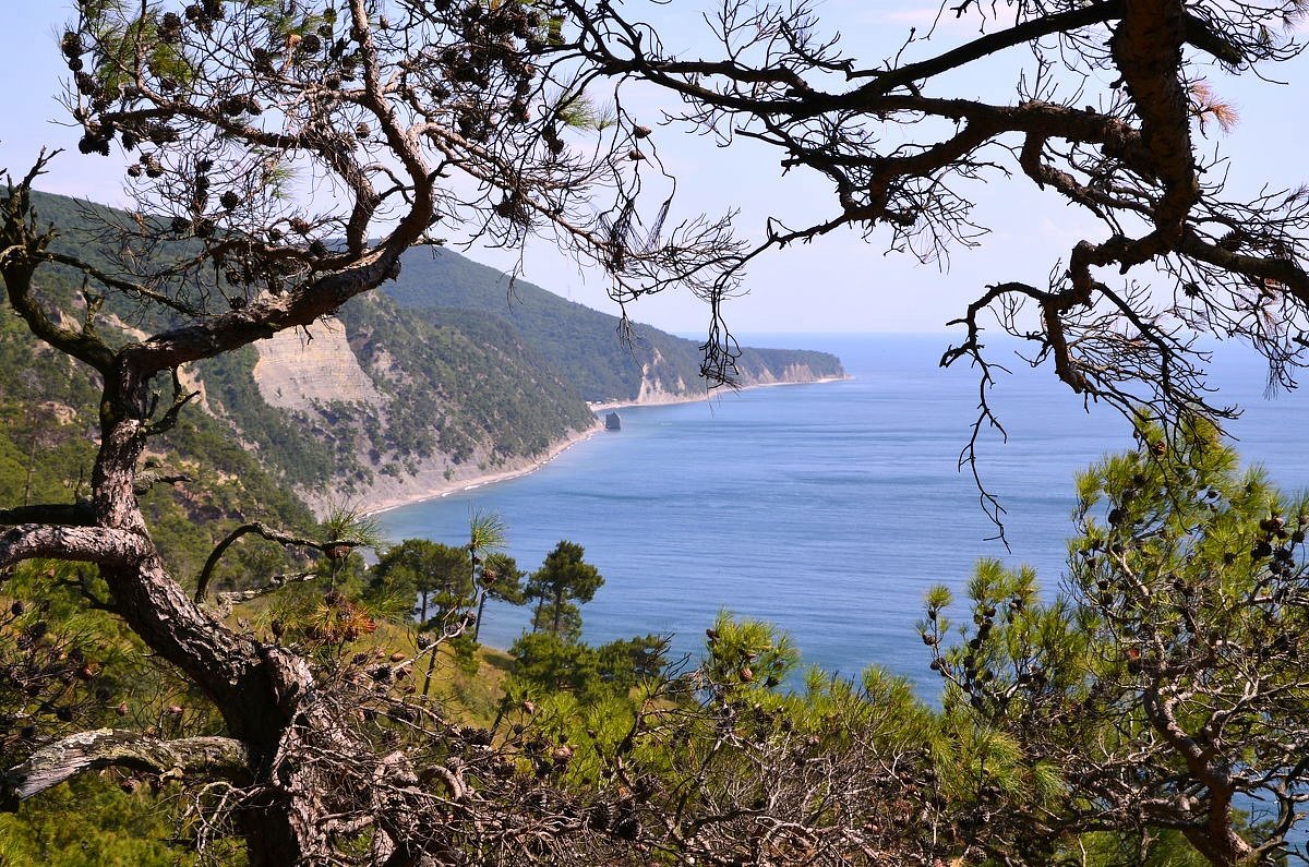 Скала "Парус" на Чёрном море - Николай Воробьёв 