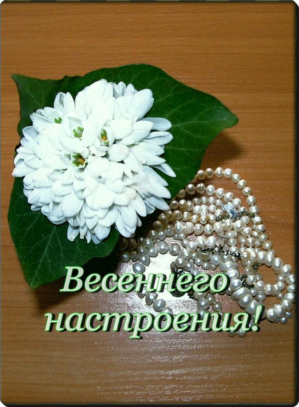 *********************** - Татьяна и Александр Акатов