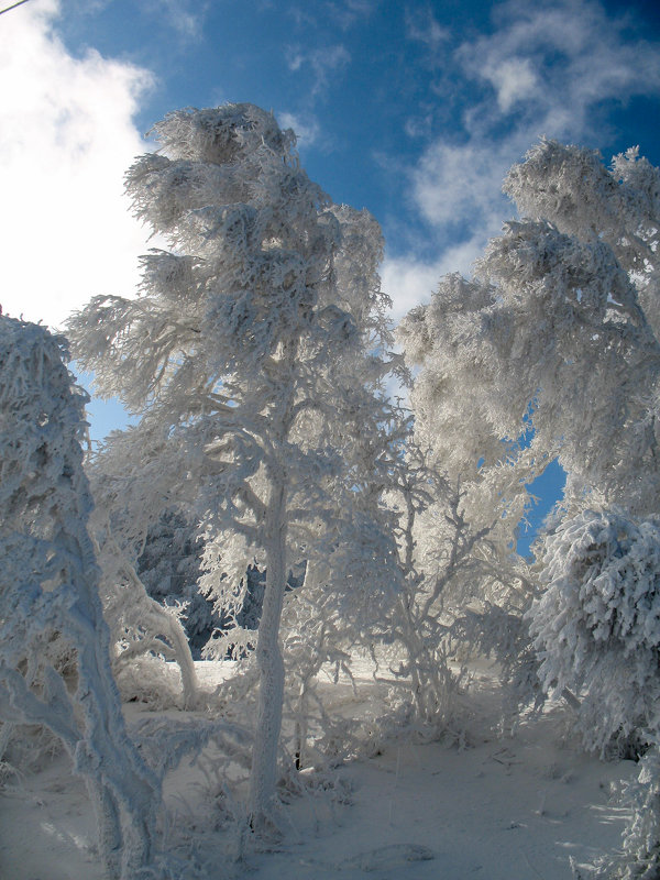 Зима - Андрей Краснов