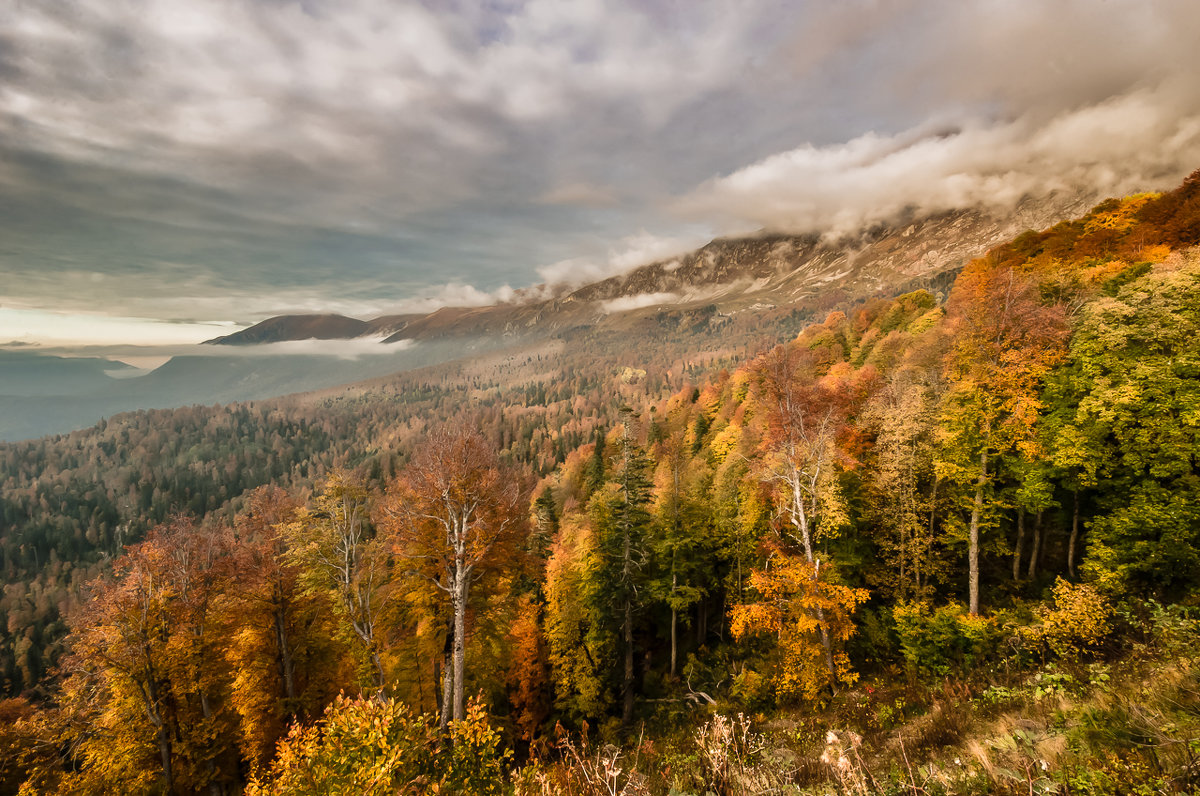 Осенний вечер в горах Апшеронского района - Геннадий Клевцов
