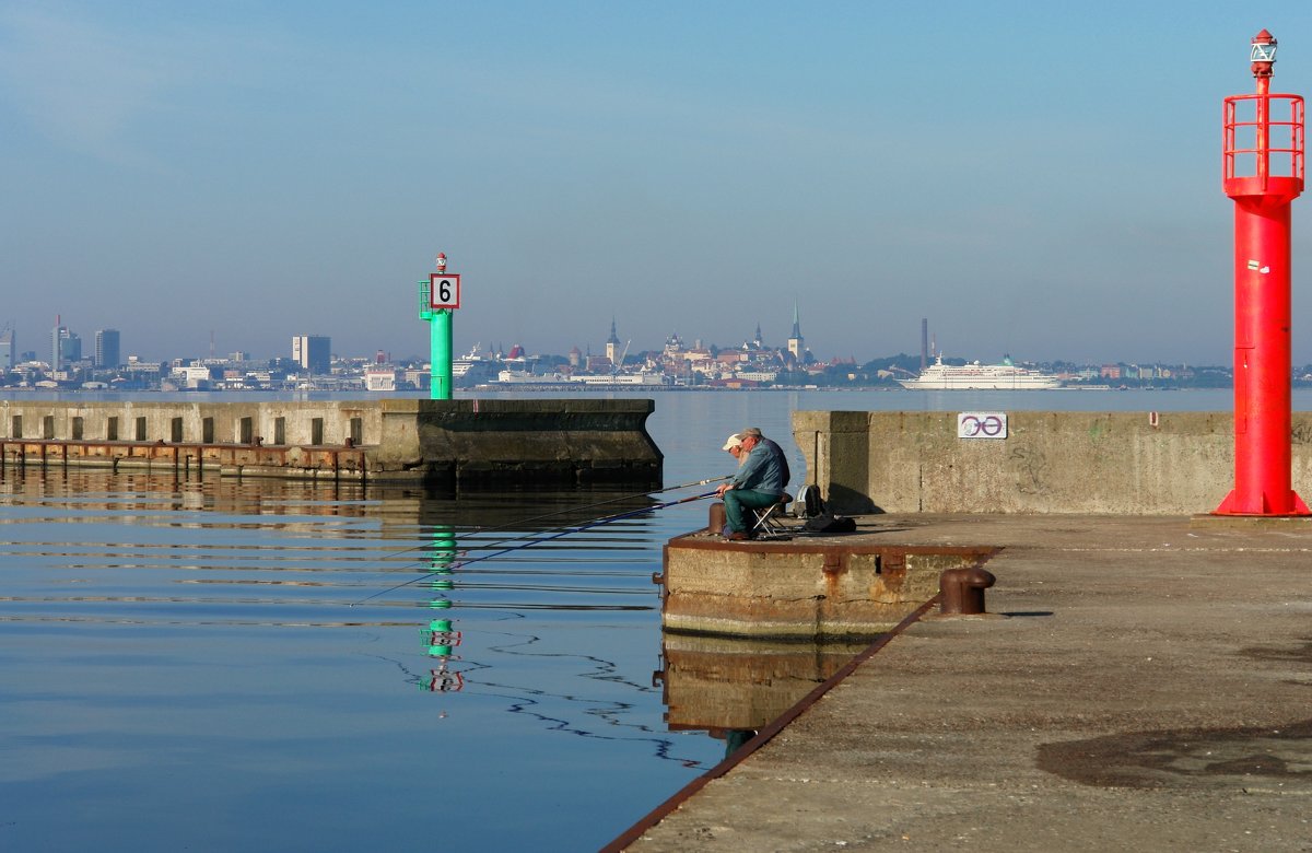 "Лучший вид на этот Город" / Tallinn - Виктор | "Индеец Острие Бревна"