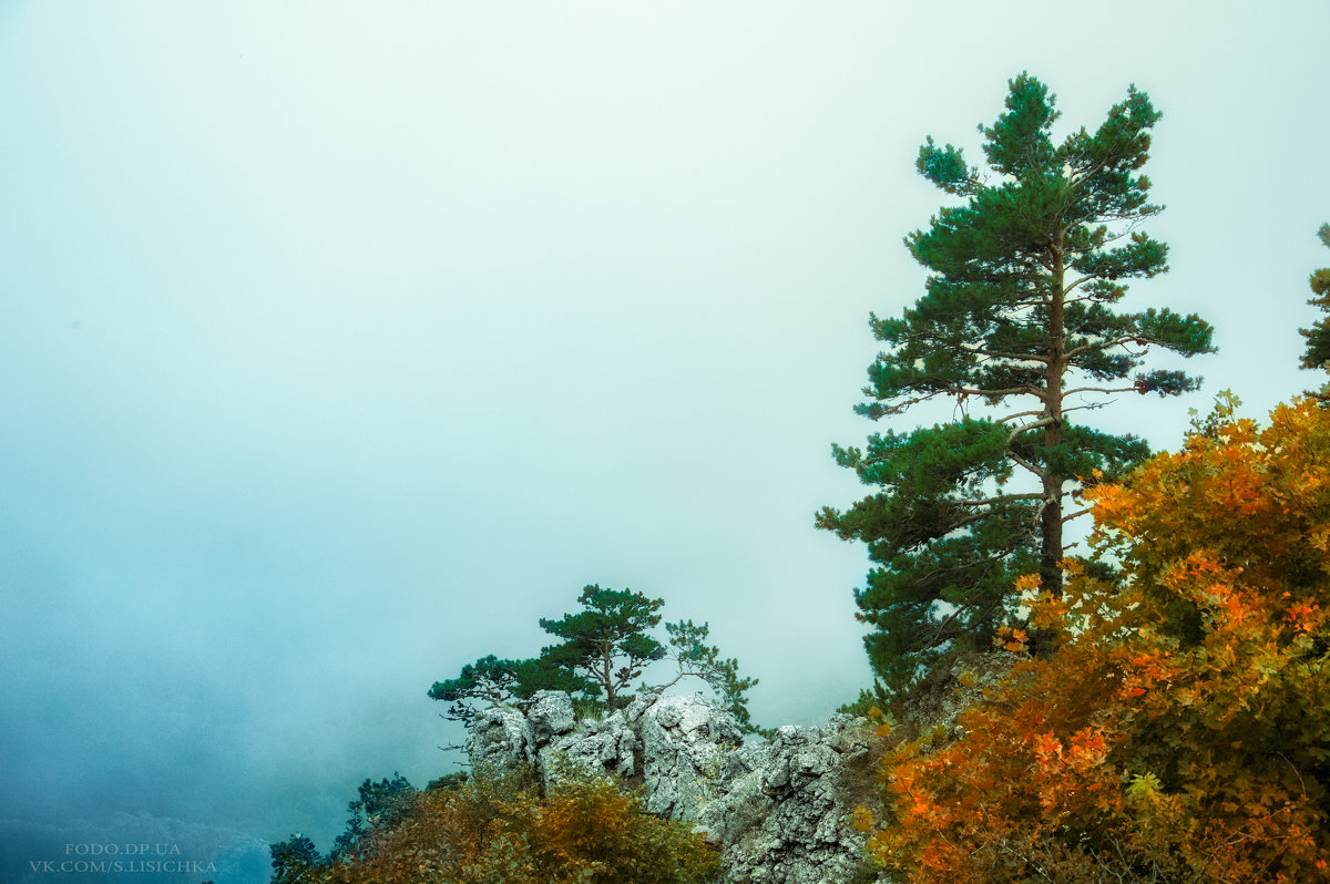 . - Фотограф Дарья Скугарева