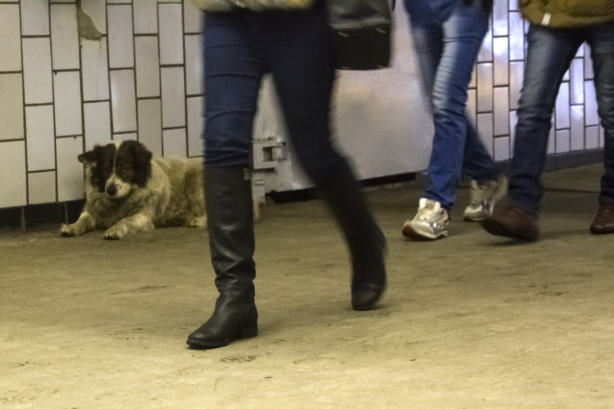 Гуляла около метро - Екатерина Маринина