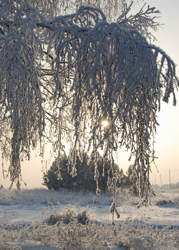 Ещё любуемся Зимой! - Татьяна Аистова