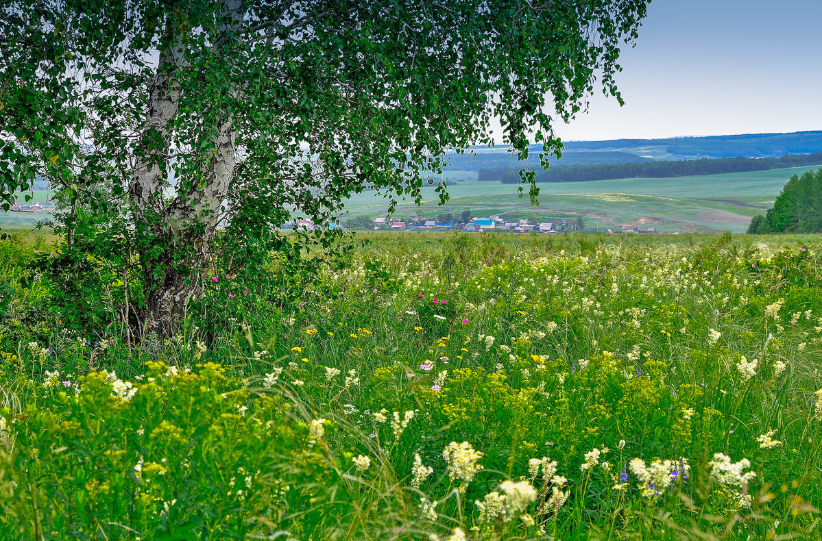 Картинки родные места