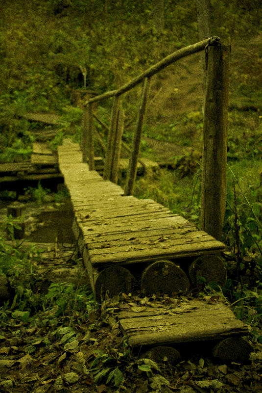 мост через ручей - Леонид Веденин