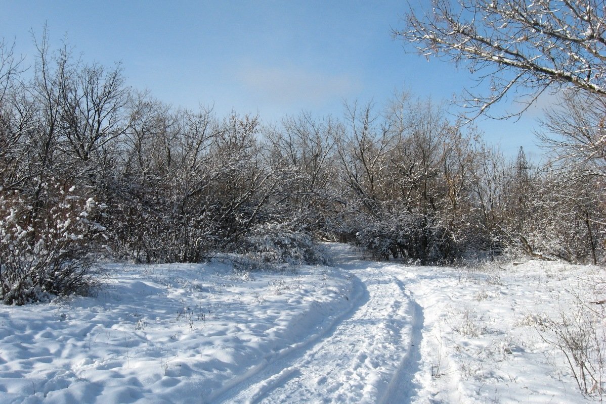 Зимняя дорога - Natali 