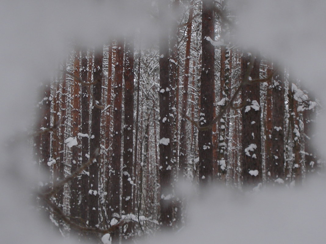 прощальный взгляд на зиму - Евгения Куприянова