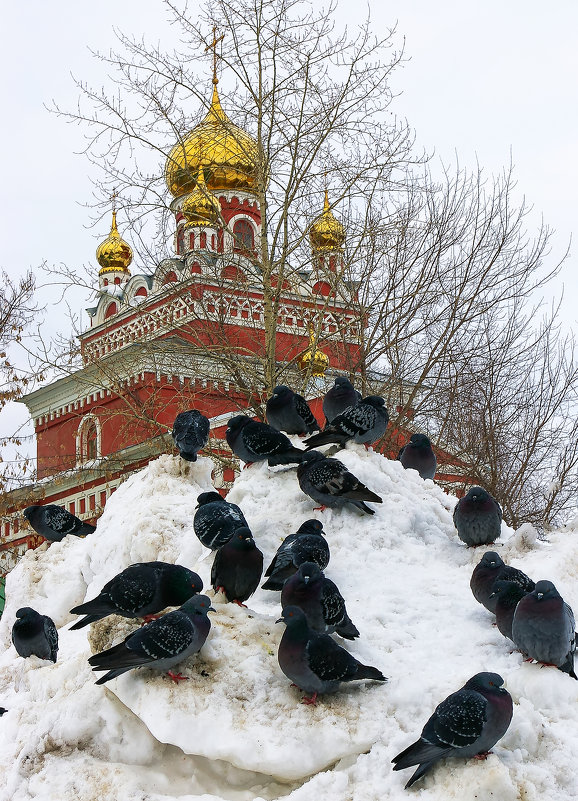 Собор и голуби - Владимир Максимов