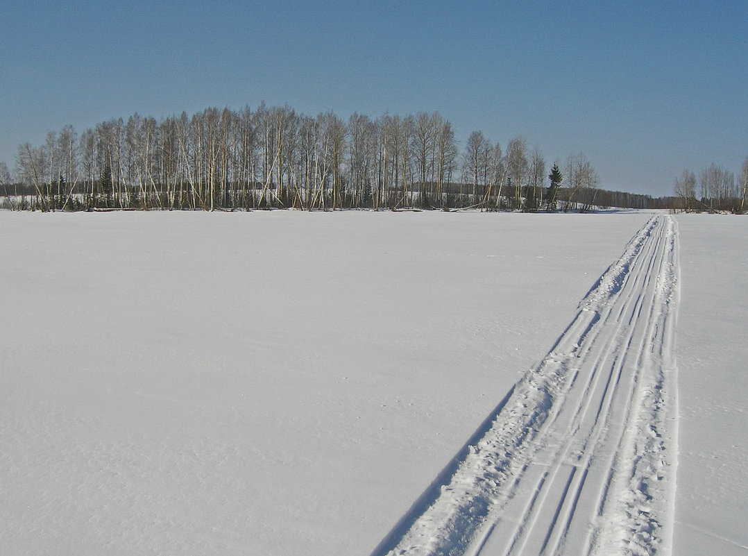 Следы по целине - val-isaew2010 Валерий Исаев