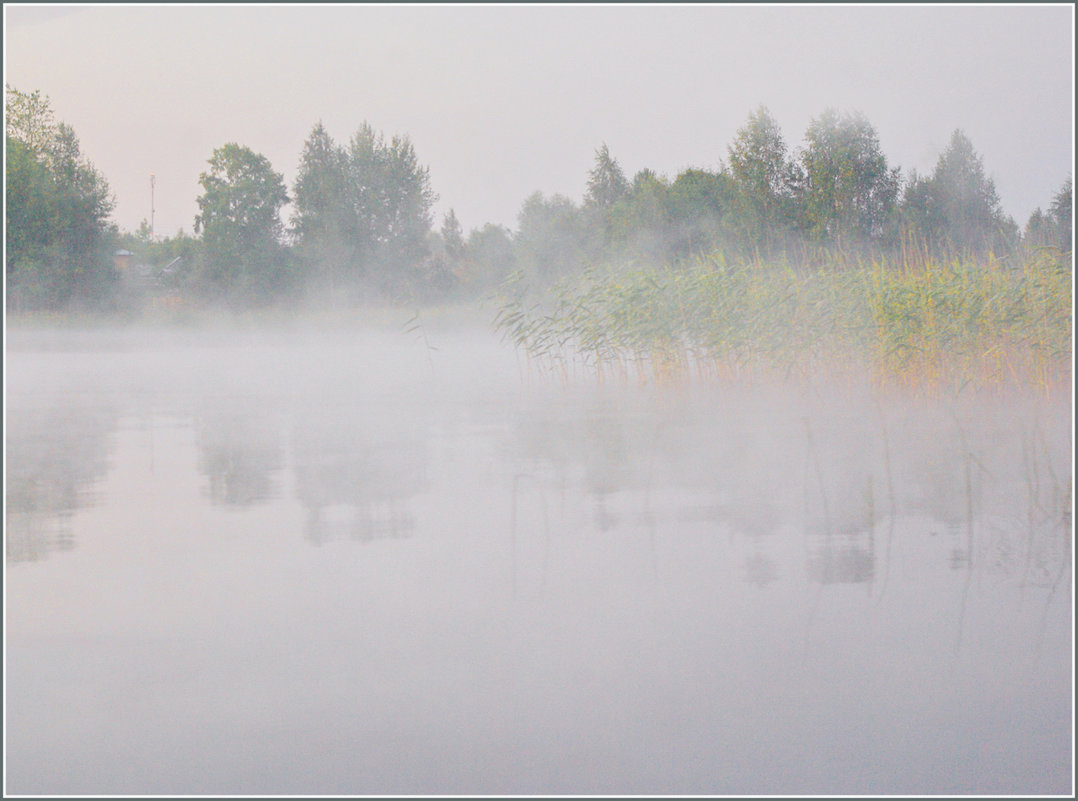 Утро в молочном тумане - Валерий Талашов