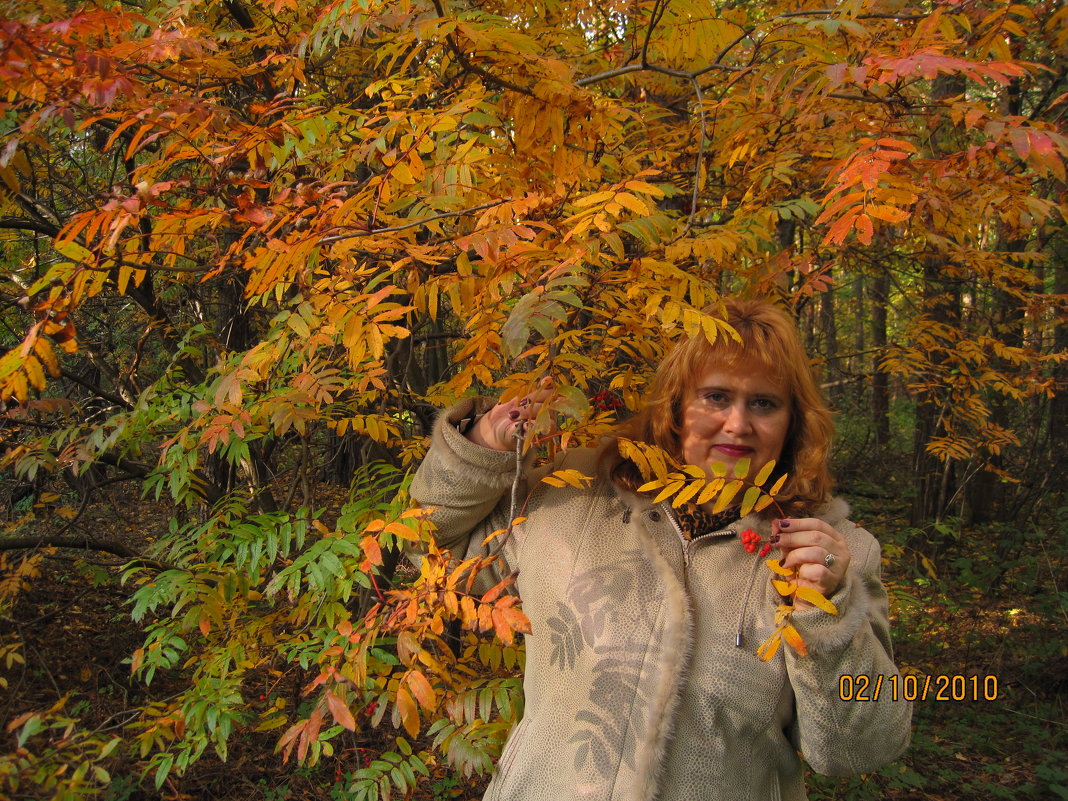 Однажды золотой  осенью - Елена Семигина