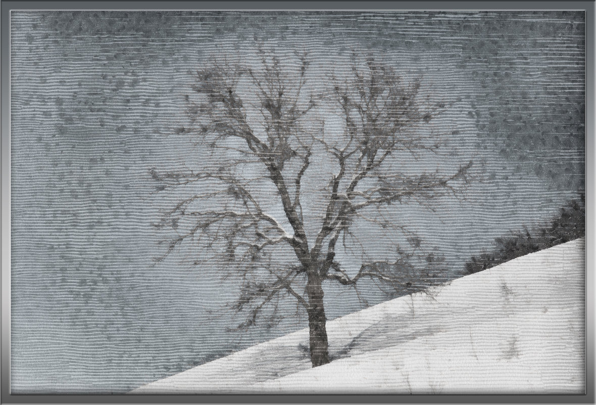Одинокое дерево на склоне - рисунок - Татьяна Губина