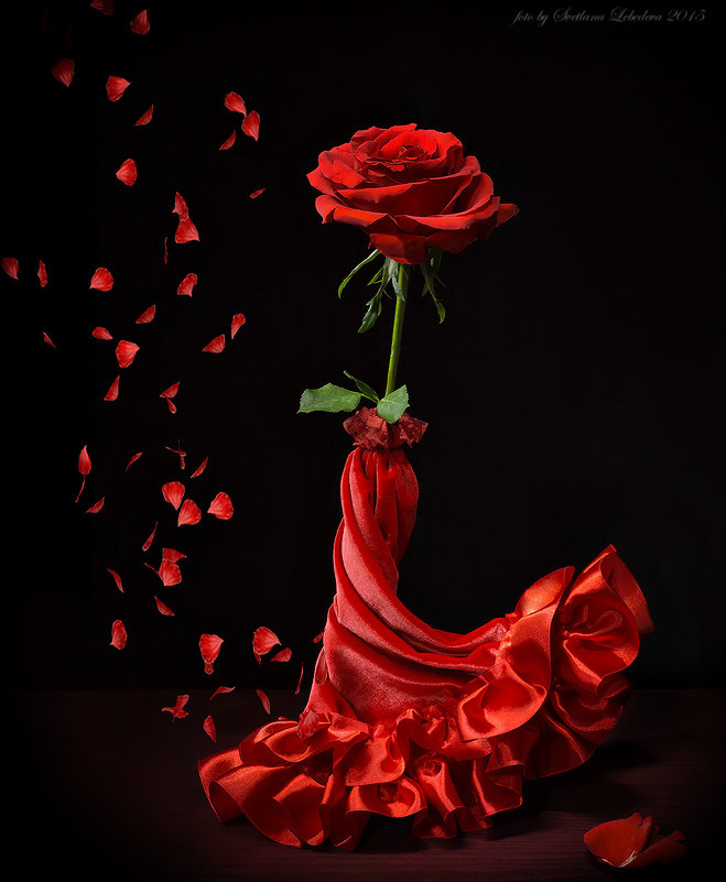 Роза в красном - Светлана Л.