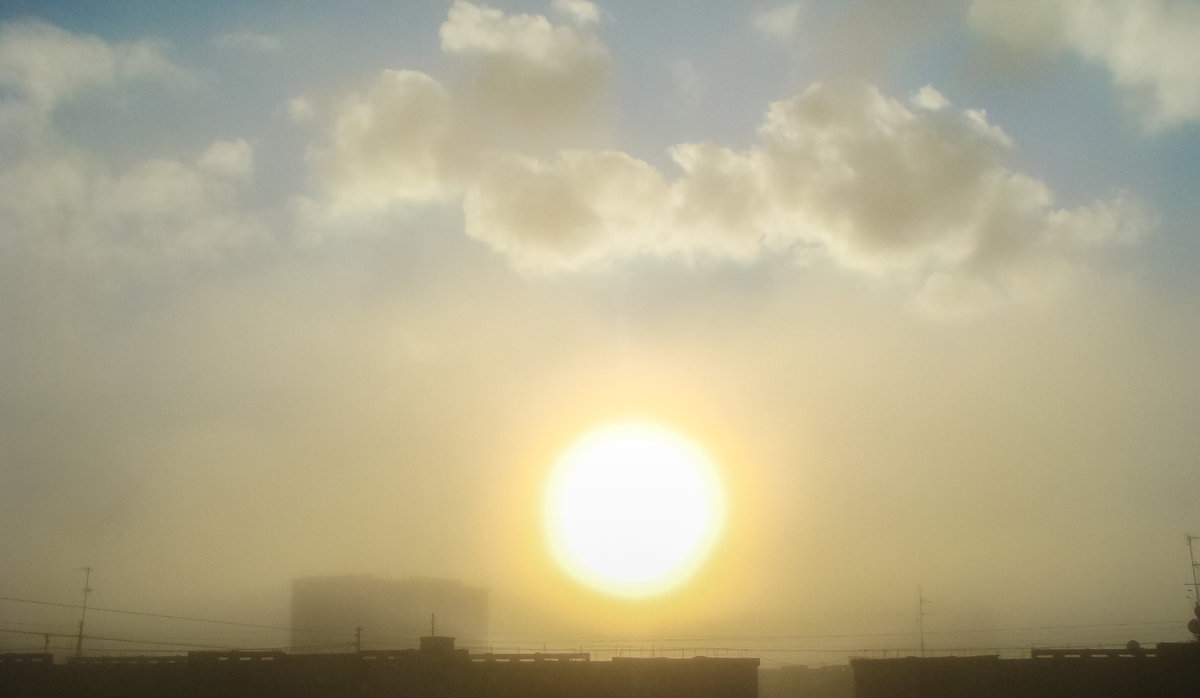 Утренний туман - Герман 