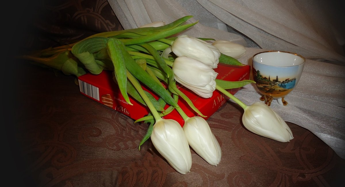 Белые тюльпаны - Жизни возрожденье Или воплощенье Нежной чистоты. - Galina Dzubina