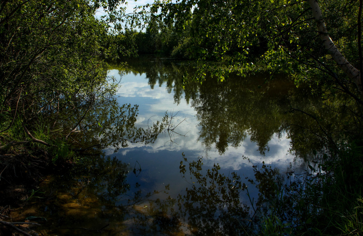 Лесное озеро - Гродан 