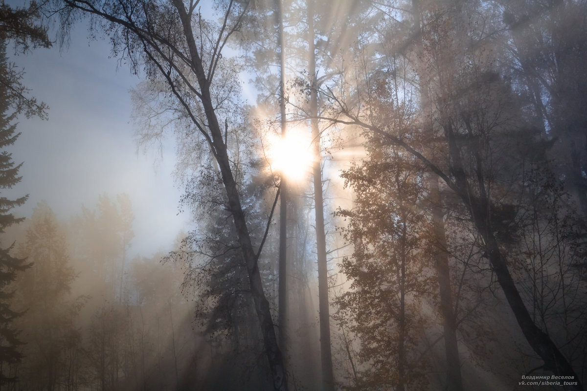 Прорыв через туман - Владимир Веселов