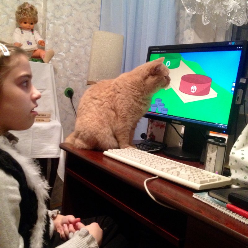 Наш кот Симка и его друг компьютер - Тамара 