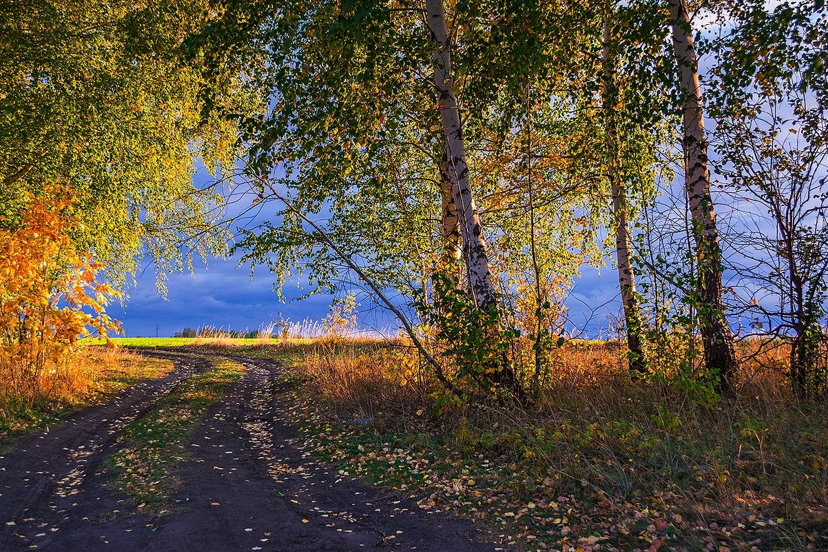 Осень вблизи Н-Спасского - Александр Тулупов