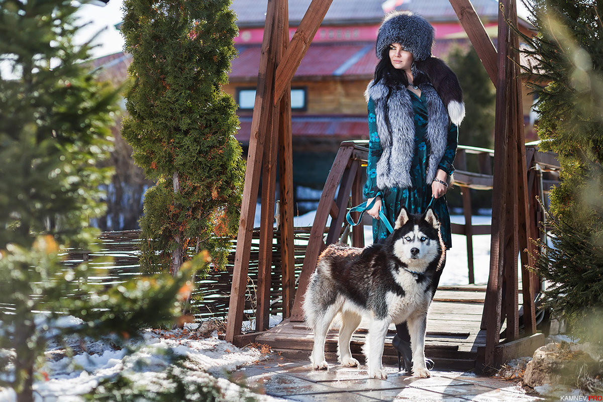 Serious woman in a fur hat with a Husky dog - Алексей Камнев