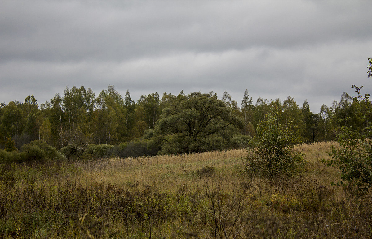 *** - Александр 