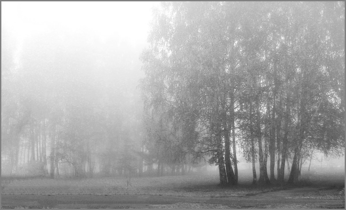 Майский туман - Olenka 