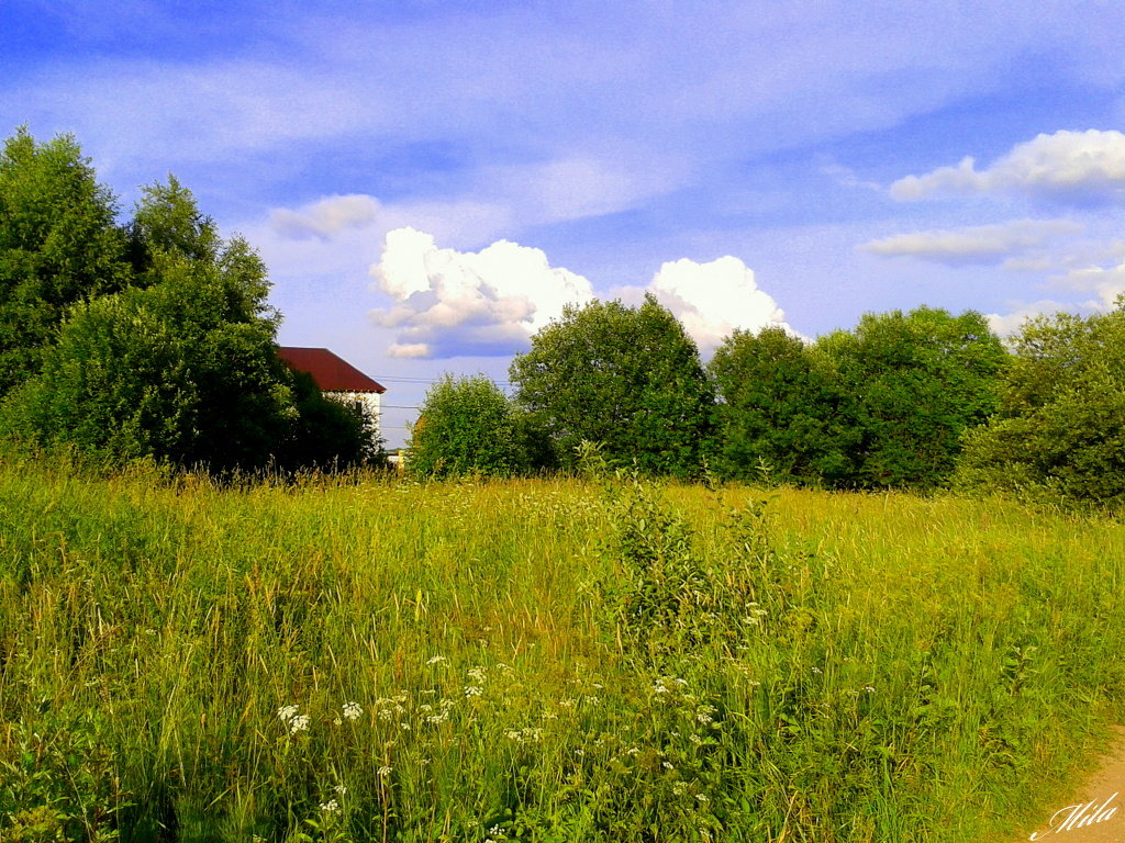 Веселенький лужок......))))))))))) - Людмила Богданова (Скачко)