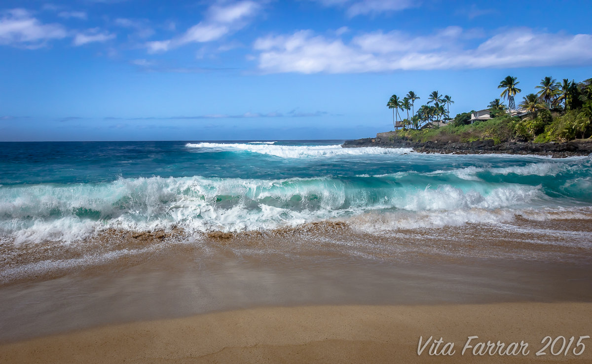 North Shore Oahu - Vita Farrar