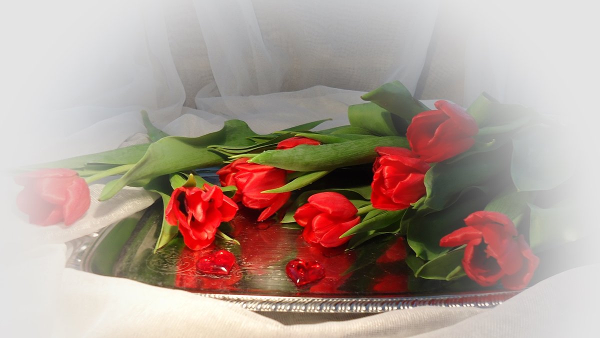 Пылают счастьем красные тюльпаны... - Galina Dzubina