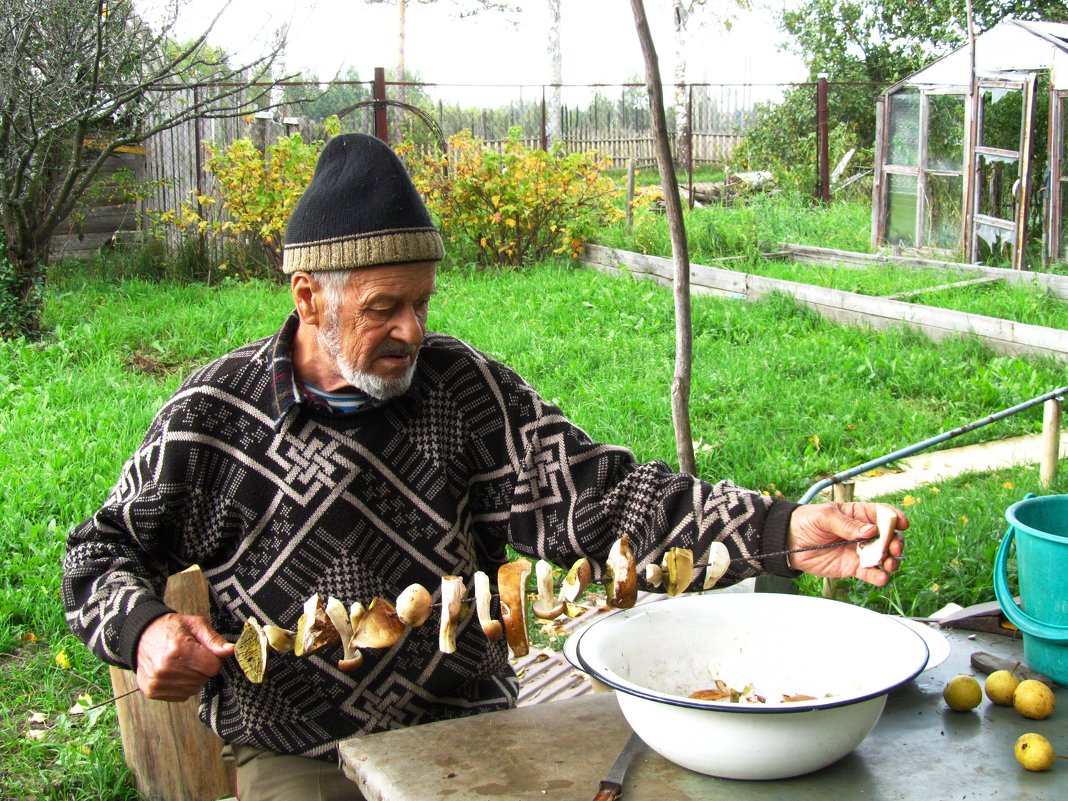 Свекор готовит грибы к сушке - Наталья Серегина