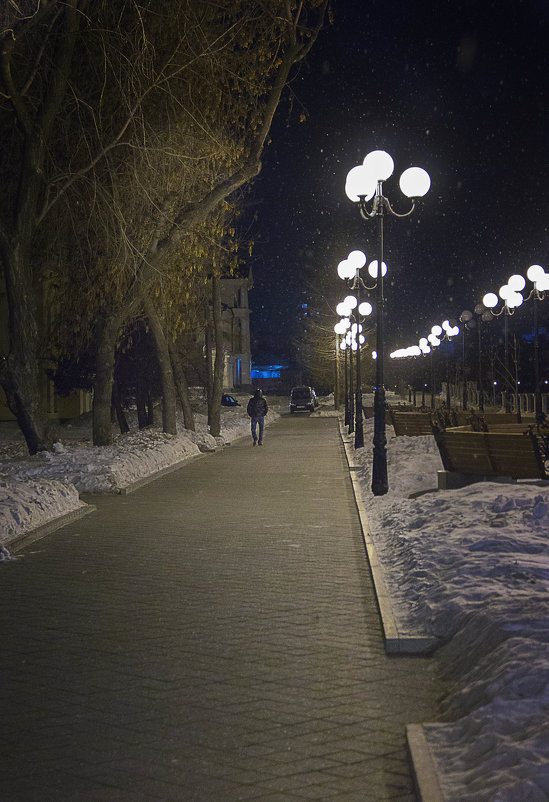 Одинокая прогулка - Дмитрий Сорокин