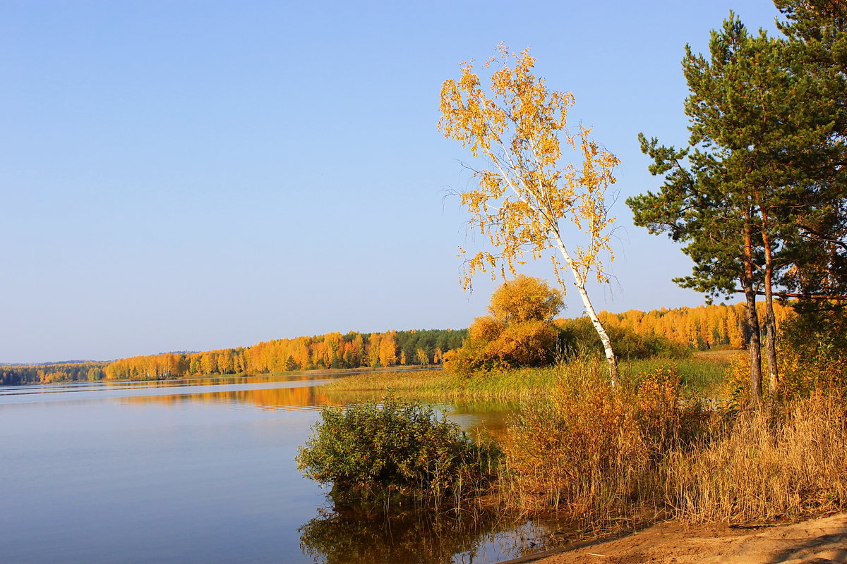 Осенний пейзаж - Александр Щеклеин