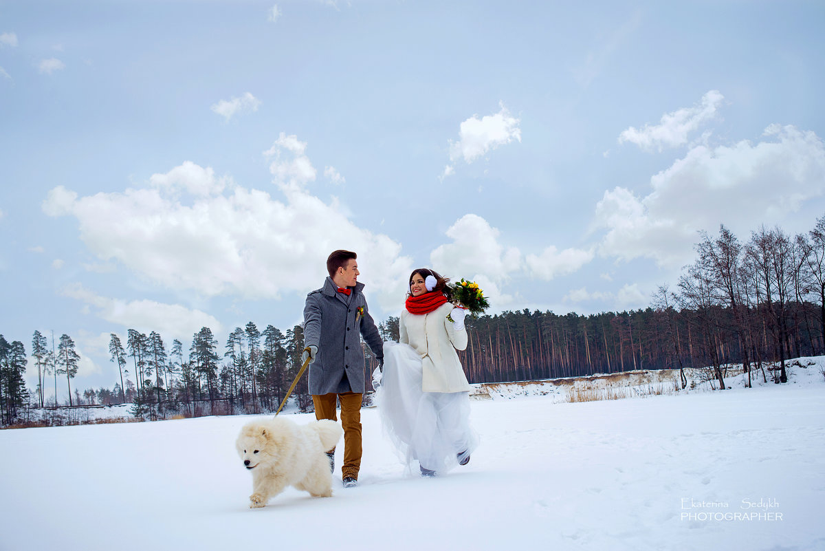 Зимняя свадьба - Екатерина Седых