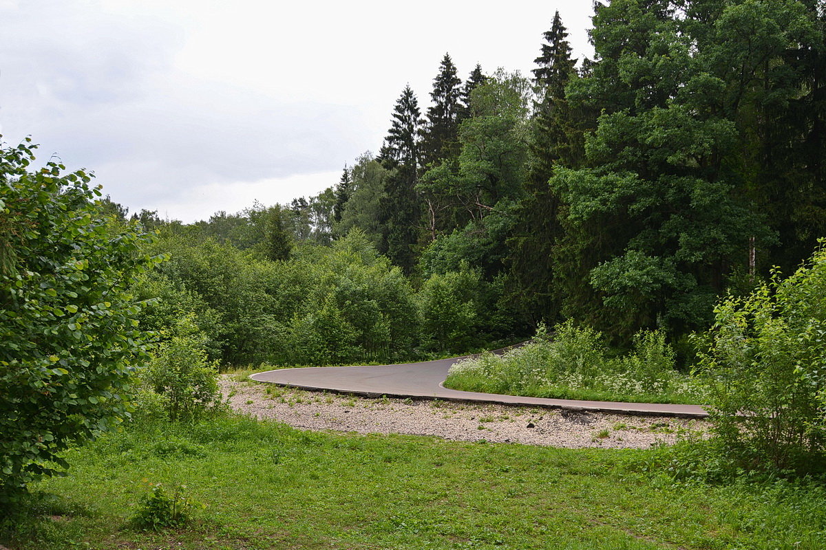 лыже-роллерная трасса - Александр С.